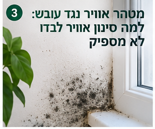 מטהר אוויר לעובש וטיפול בלחות בבית