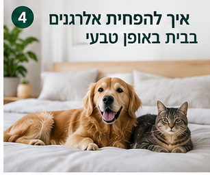 הפחתת אלרגנים בבית באופן טבעי