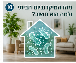 מיקרוביום ביתי מודגם בבית טבעי עם צמחים ומשטחים נקיים